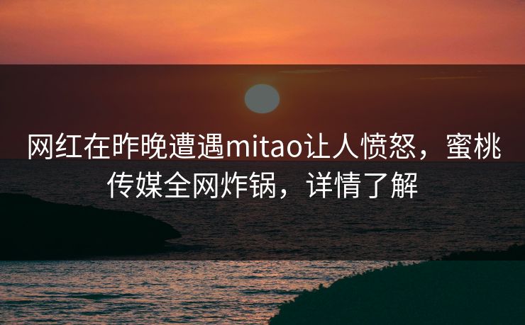 网红在昨晚遭遇mitao让人愤怒，蜜桃传媒全网炸锅，详情了解